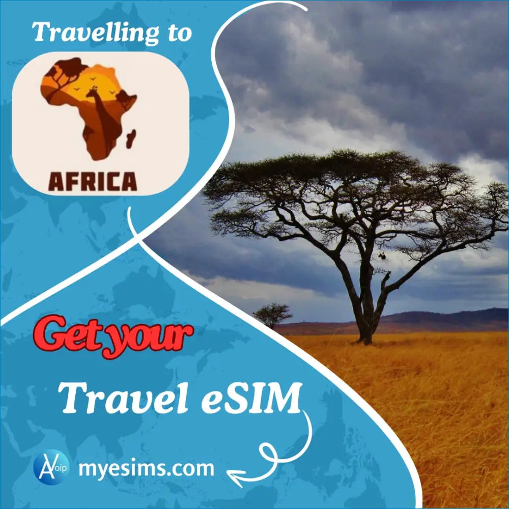 Acacia tree silhouette in stormy African sky, perfect for your Africa Data eSIM needs