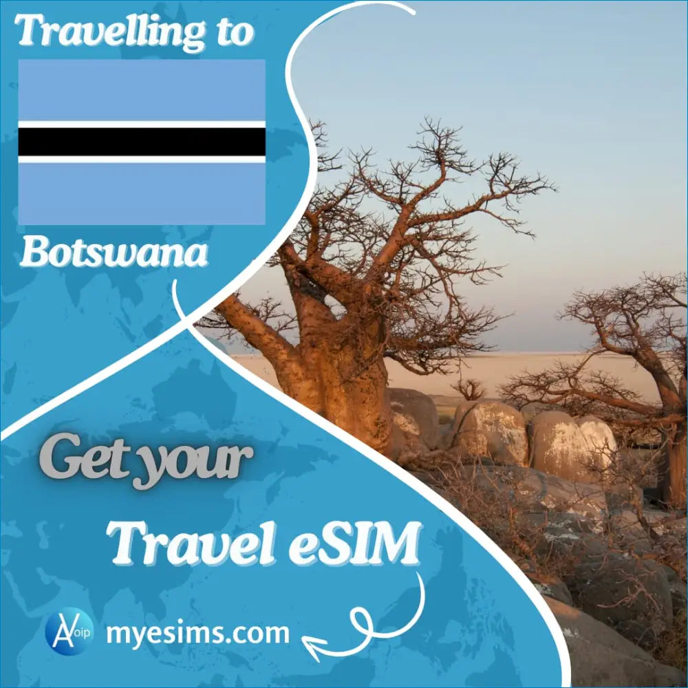 Baobab tree at sunset with Botswana eSIM for seamless connectivity on your travels