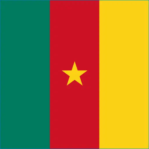Cameroon flag with green, red, yellow stripes and star for Cameroon travel eSIM connection