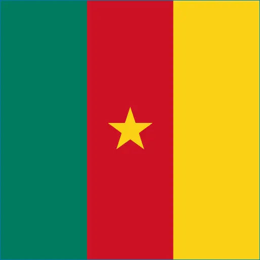 Cameroon flag with green, red, yellow stripes and star for Cameroon travel eSIM connection