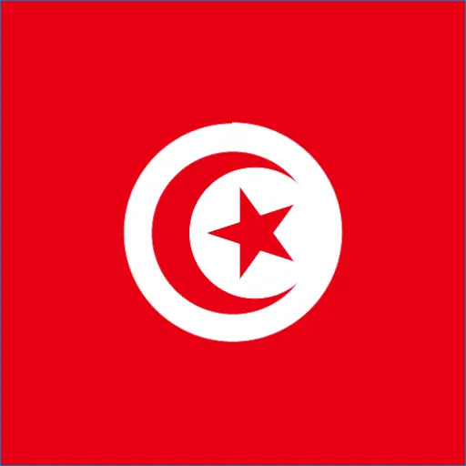 Flag of Tunisia with crescent moon and star for Tunisia travel eSIM data roaming