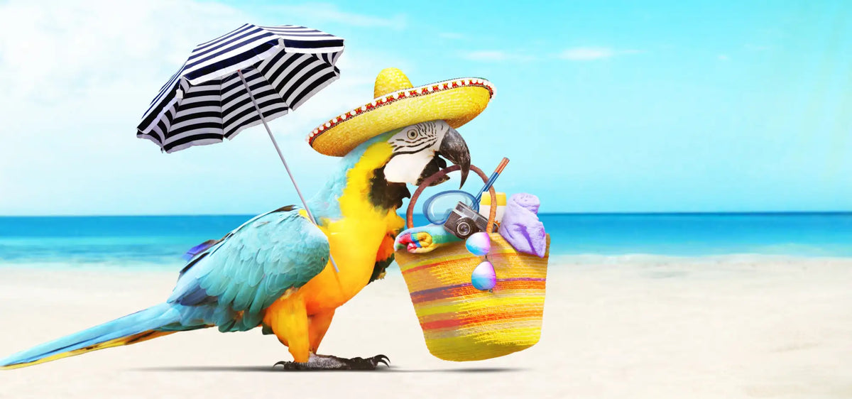 A vibrant yellow and blue macaw parrot wearing a straw sombrero, holding a striped beach umbrella in one foot and carrying a colorful woven basket filled with beach essentials.